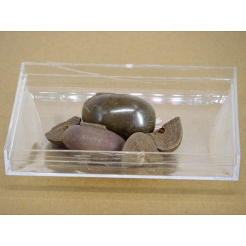 SR-Hou Zao (Calculus macacae mulattae)