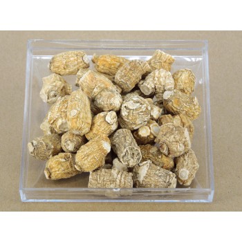 SR-Zhong Pao Shen (Cultivated Ginseng)